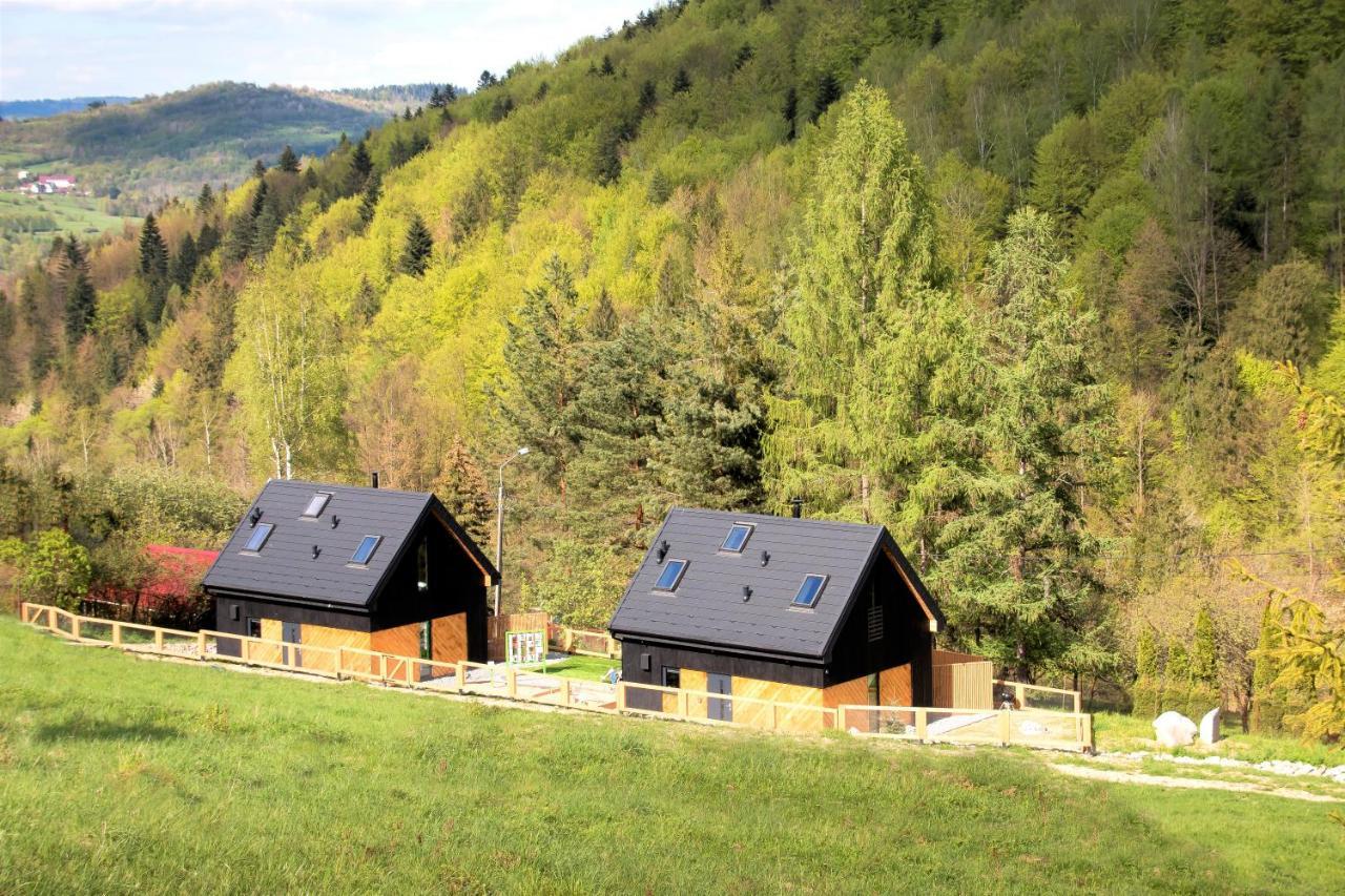 Projekt Swit - Domki Z Prywatna Jacuzzi I Sauna Żywiec المظهر الخارجي الصورة